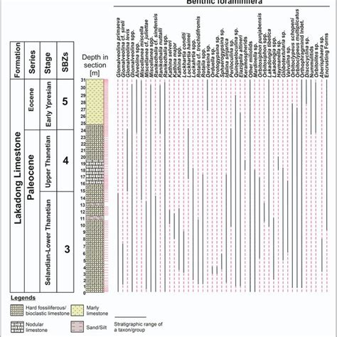 Lithocolumn Of The Study Section With Stratigraphic Range Of The