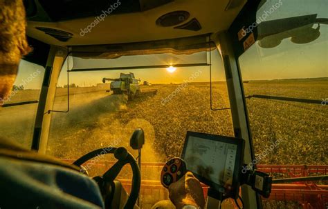 La Cosecha De Granos En Un Campo De Cebada Al Atardecer Una