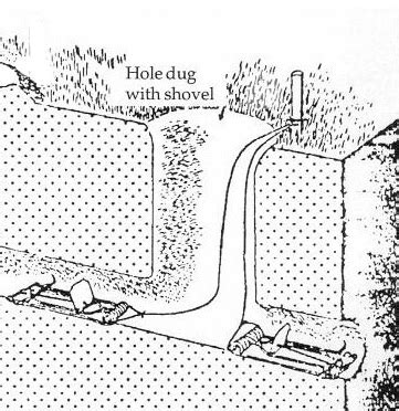 Gopher Tunnels Diagram