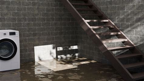 How To Prevent Basement Flooding During Heavy Rain