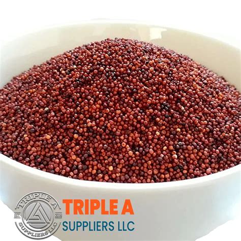 Premium Wholesale Bird Feed Seeds Origin Yellow Millet Max Style Color