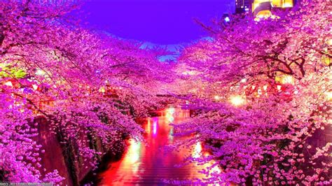 88 Wallpaper Pemandangan Alam Jepang Images Pictures MyWeb