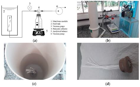 A New Approach to the Development of Hollow Fiber Membrane Modules for Water Treatment: Mixed
