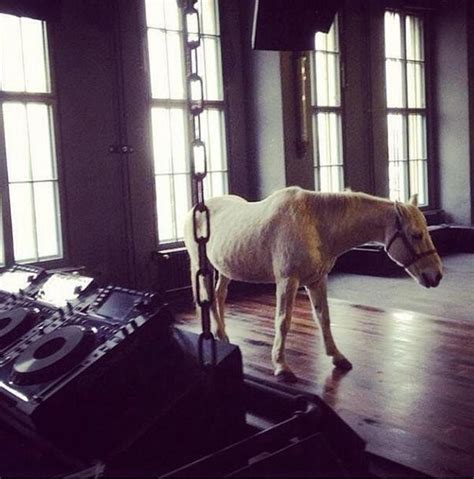 Trippin White Horse In Panoramabar Berghain Berlin Randoms