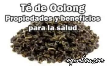 ᐈTé Oolong Propiedades y Beneficios para la Salud Como Preparalo