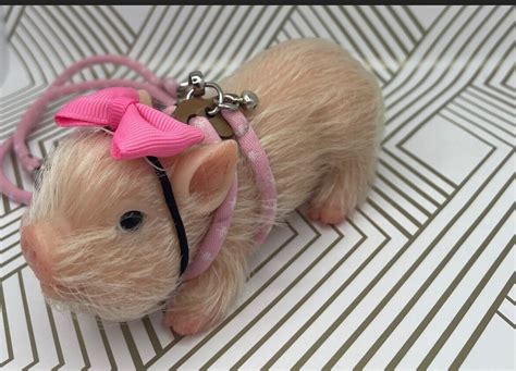 Teacup Pig Adoption Package, Tiny Piglet Toy, Pet Pig Doll, Teacup Piglet Doll, Reborn Pig Doll ...