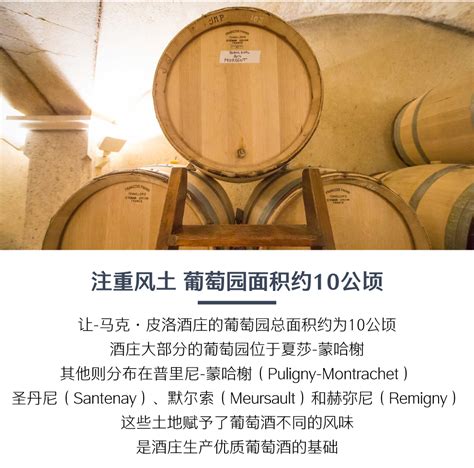 原装原瓶进口让马克皮洛酒庄夏莎蒙哈榭老藤干红葡萄酒2020 Domaine Jean Marc Pillot Chassagne