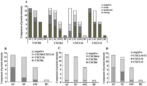 The Expression Pattern Of Cxcl Cxcr And Cxcl Cxcr In Different