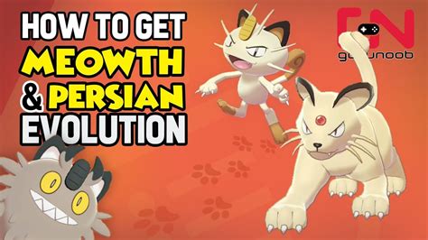 Meowth Evolution Meowth Pokedex Information