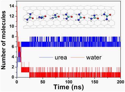 Small Molecules And Peptides Inside Carbon Nanotubes Impact Of