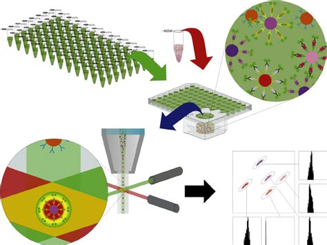 Measure Secreted Protein And Mrna Levels With A Single Off