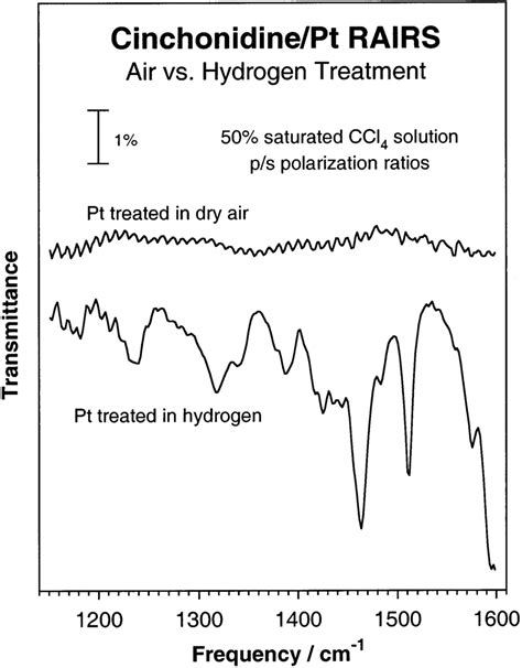 Reflection Absorption Infrared Spectra Obtained After Exposing Clean