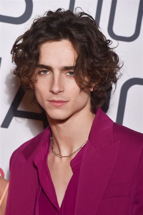 Timothée Chalamet at the Little Women Premiere in Paris | See Photos of ...