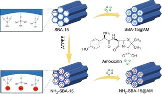 Mesoporous Silica SBA 15 Composite For The Delivery Of Amoxicillin