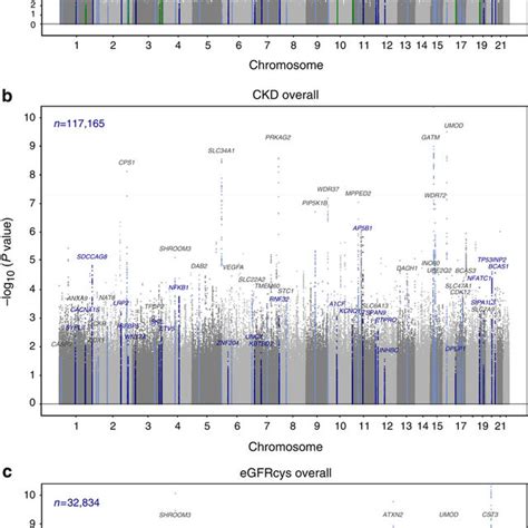 Discovery Stage Genome Wide Association Analysis Manhattan Plots For