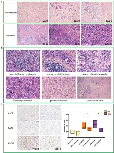 Full Article Neoadjuvant PD 1 Blockade Plus Chemotherapy Induces A