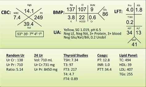 Basic Metabolic Panel Chart A Visual Reference Of Charts Chart Master