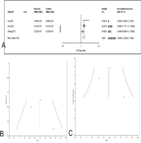 A Forest Plot For The Association Between MTHFR C677T Polymorphism And