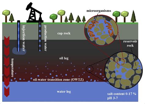 6 Best Reservoir Simulation Tool In 2020