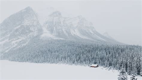 Fond Décran Paysage Forêt Montagnes La Nature Neige Hiver La