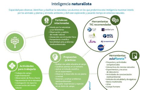 Inteligencia Mapa Mental Brebadimapa