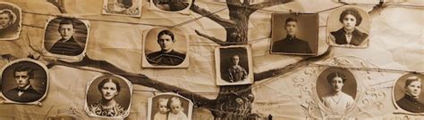 Family Tree of Photos A vintage photo album showcasing a family tree ...