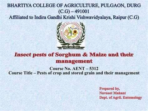 Insect Pests Of Sorghum And Maize Ppt