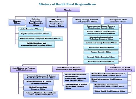 Ministry Of Health Organizational Structure Ministry Of Health Ethiopia