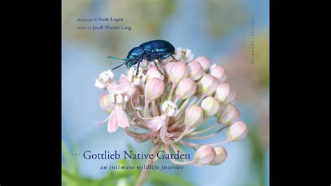 The Gottlieb Native Garden Presentation With Scott Logan Youtube