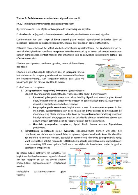 Cel Tot Molecuull Thema 6 Thema 6 Cellulaire Communicatie En