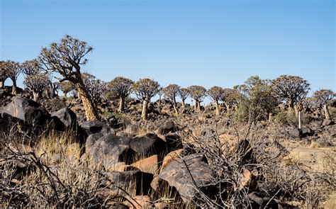 Keetmanshoop Map - Southern Namibia - Mapcarta