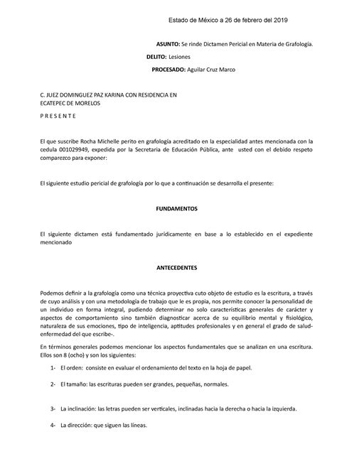 Dictamen De Grafologia Y Estudio De La Letra Asunto Se Rinde