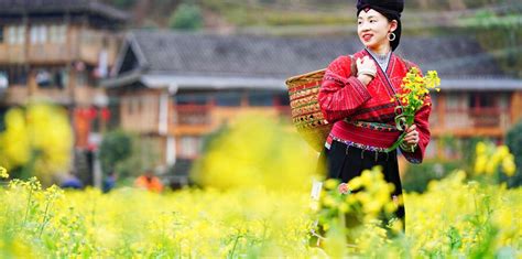 Top 11 Qingming Festival Activities