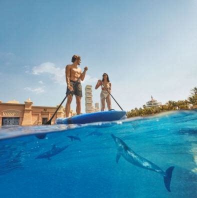 Atlantis Aquaventure’s Dolphin Bay Introduces Three New No-Contact Programmes, Inspiring and ...