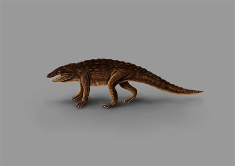 ArtStation - Armadillosuchus