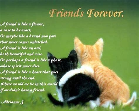 Valentines Day Poems For Friends Poems About Friendship Friendship
