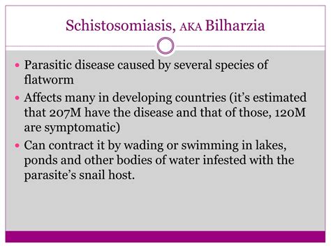 Ppt Schistosomiasis Powerpoint Presentation Free Download Id 9455478