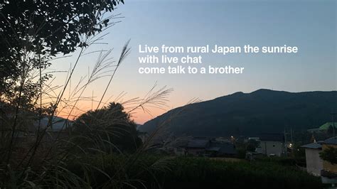 LIVE From Rural JAPAN The Sunrise The Relaxing Sound Of Nature ASMR