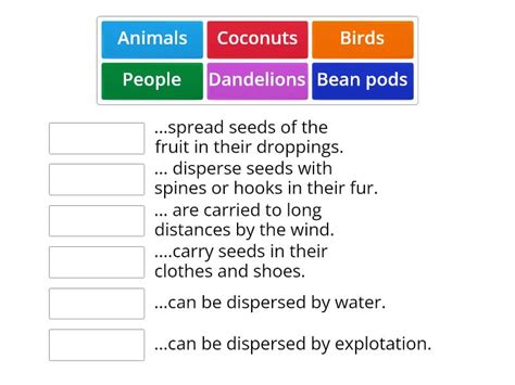 Seed Dispersal - Match up