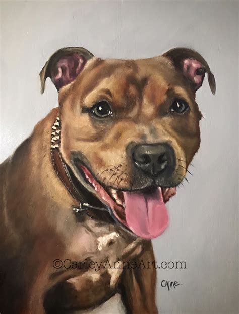 Tan Staffy Oil Painting Pet Portrait Pet Portraits Watercolor Dog