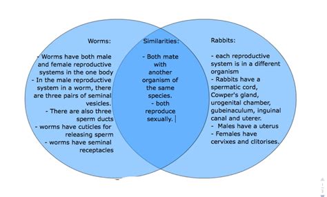 Similarities Between Masters And Doctoral Degrees Venn Diagr