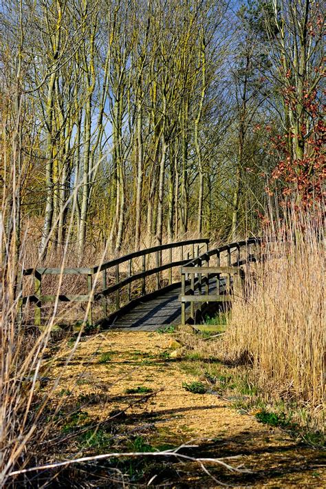 Willow Tree Fen A Spring Afternoon At Willow Tree Fen Natu Flickr