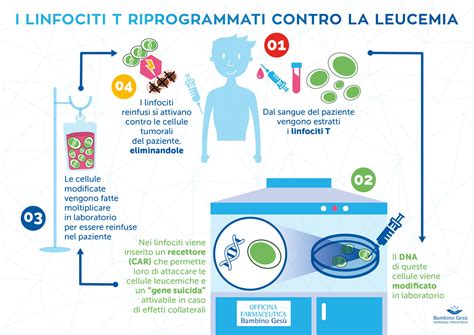 Terapia Genica Cellule Riprogrammate Contro Il Tumore Primo