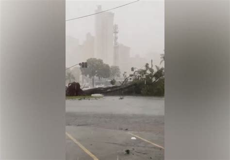 Acompanhada De Vento Forte Chuva Derruba Rvores E Causa Estragos Em