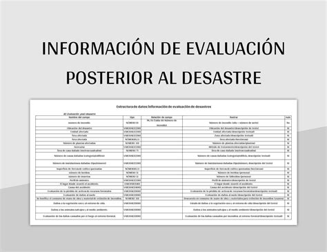 Plantilla De Excel Estructura De Datos Informaci N De Evaluaci N