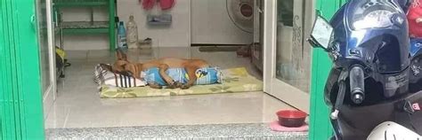 Black Pussy BlackPussy1102 Twitter