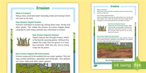 Erosion Fact Sheet Teacher Made