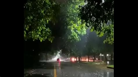 Arthur Pauzudo XVIDEOS