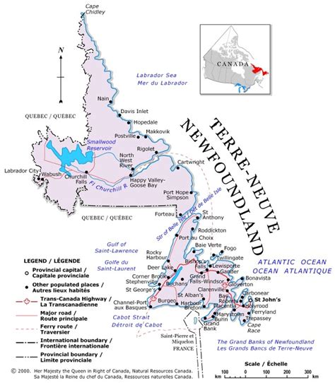 Newfoundland Political Map