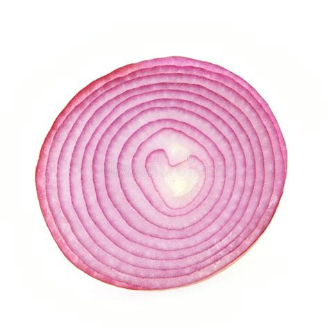 Sliced Purple Onion Stock Photo - Image: 18269880